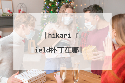 hikari field补丁在哪
