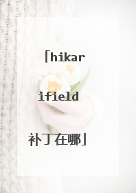 hikarifield补丁在哪