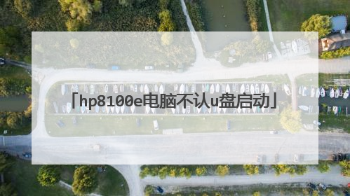 hp8100e电脑不认u盘启动