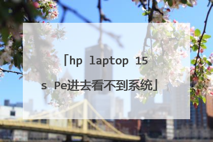hp laptop 15s Pe进去看不到系统
