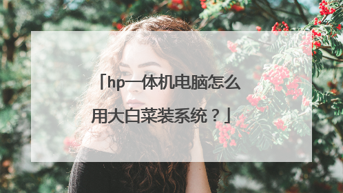 hp一体机电脑怎么用大白菜装系统?