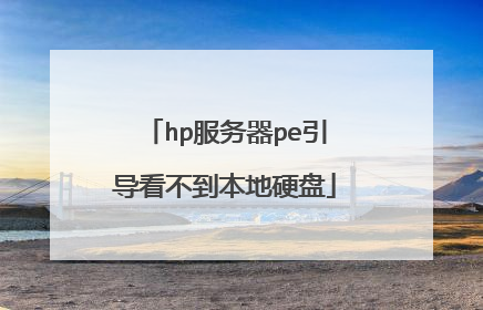 hp服务器pe引导看不到本地硬盘