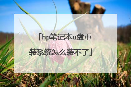 hp笔记本u盘重装系统怎么装不了