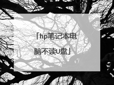 hp笔记本电脑不读U盘