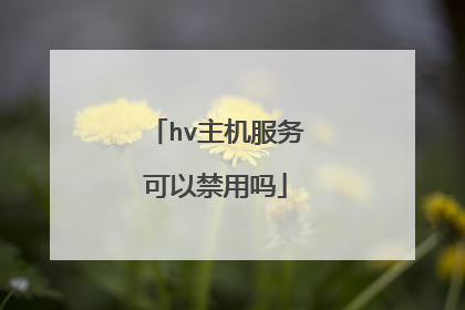 hv主机服务可以禁用吗