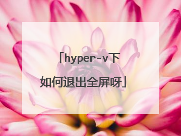hyper-v下如何退出全屏呀