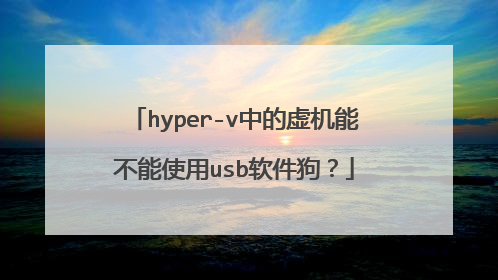 hyper-v中的虚机能不能使用usb软件狗？