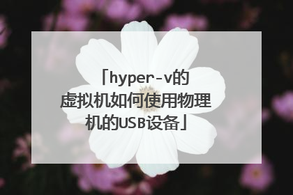 hyper-v的虚拟机如何使用物理机的USB设备
