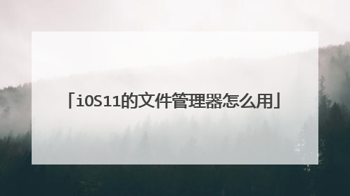 iOS11的文件管理器怎么用