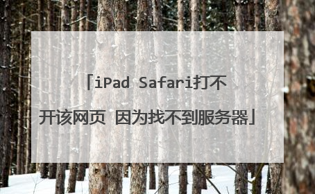 iPad Safari打不开该网页 因为找不到服务器