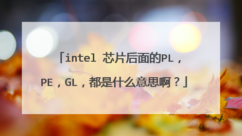 intel 芯片后面的PL,PE,GL,都是什么意思啊?