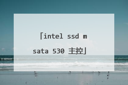intel ssd msata 530 主控