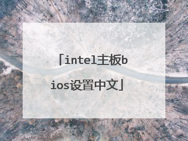 intel主板bios设置中文