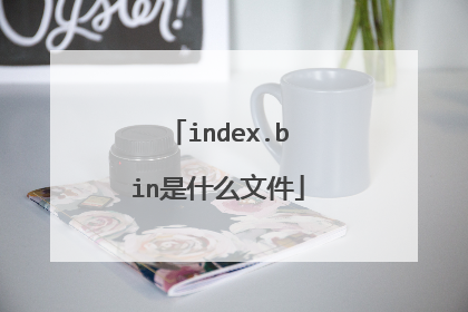 index.bin是什么文件