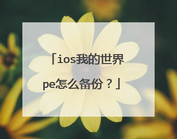 ios我的世界pe怎么备份?