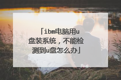 ibm电脑用u盘装系统，不能检测到u盘怎么办