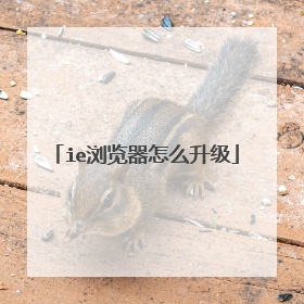 ie浏览器怎么升级