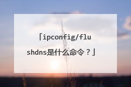 ipconfig/flushdns是什么命令?