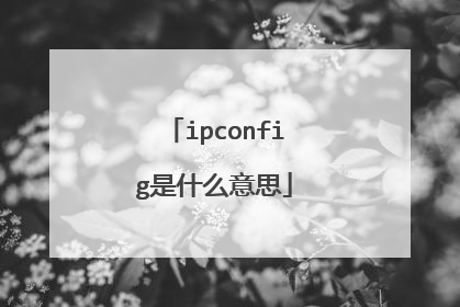 ipconfig是什么意思
