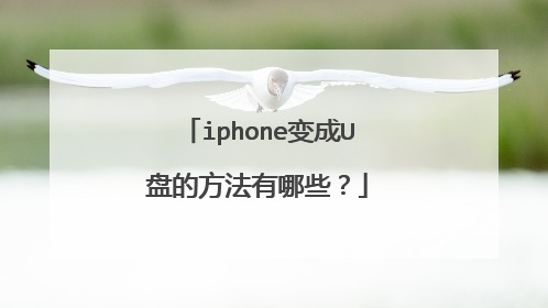 iphone变成U盘的方法有哪些?