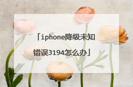iphone降级未知错误3194怎么办
