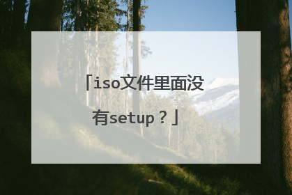 iso文件里面没有setup？