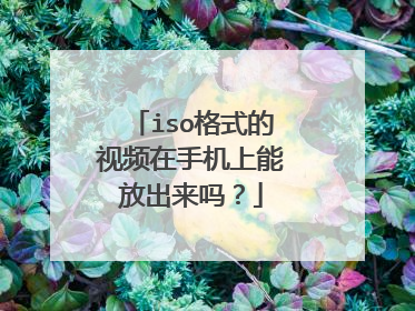 iso格式的视频在手机上能放出来吗?