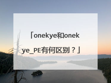 onekye和onekye_PE有何区别？