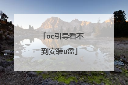 oc引导看不到安装u盘