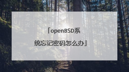 openBSD系统忘记密码怎么办