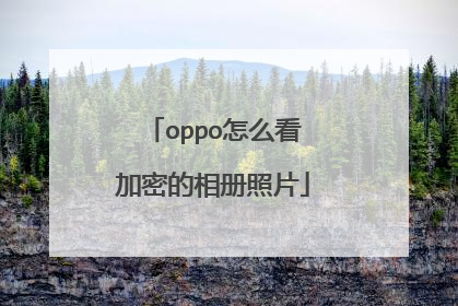 oppo怎么看加密的相册照片
