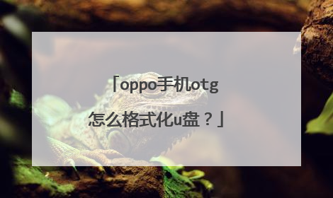 oppo手机otg怎么格式化u盘？