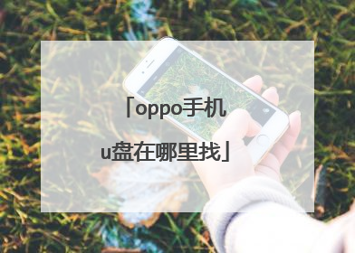 oppo手机u盘在哪里找