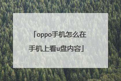 oppo手机怎么在手机上看u盘内容
