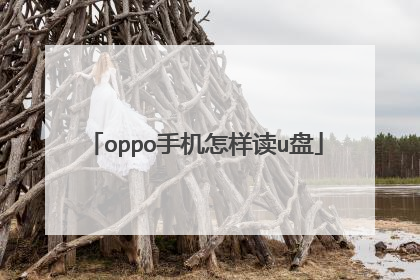 oppo手机怎样读u盘