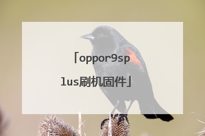 oppor9splus刷机固件