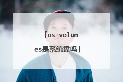 os volumes是系统盘吗
