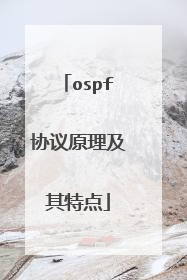 ospf协议原理及其特点