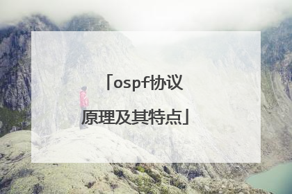 ospf协议原理及其特点