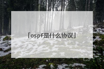ospf是什么协议