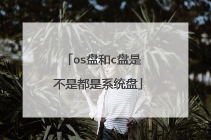 os盘和c盘是不是都是系统盘
