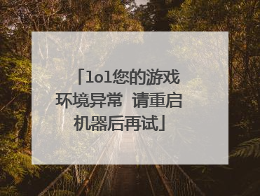 lol您的游戏环境异常 请重启机器后再试