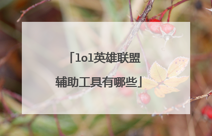 lol英雄联盟辅助工具有哪些