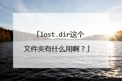 lost.dir这个文件夹有什么用啊？