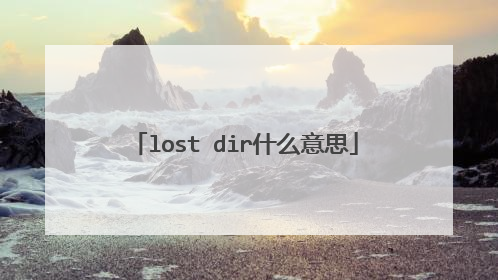 lost dir什么意思