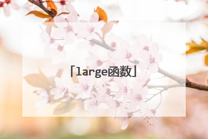 large函数
