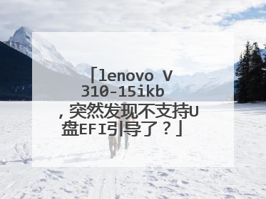 lenovo V310-15ikb,突然发现不支持U盘EFI引导了?