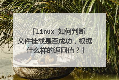 linux 如何判断文件挂载是否成功，根据什么样的返回值？