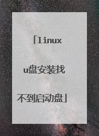 linux u盘安装找不到启动盘