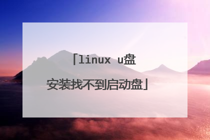 linux u盘安装找不到启动盘